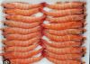 tom-xuat-khau-shrimp-export - ảnh nhỏ 5